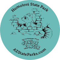 Junior Ranger Button featuring Rocky Ringtail