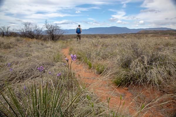A portion of the Lime Kiln Trail near Dead Horse Ranch State Park