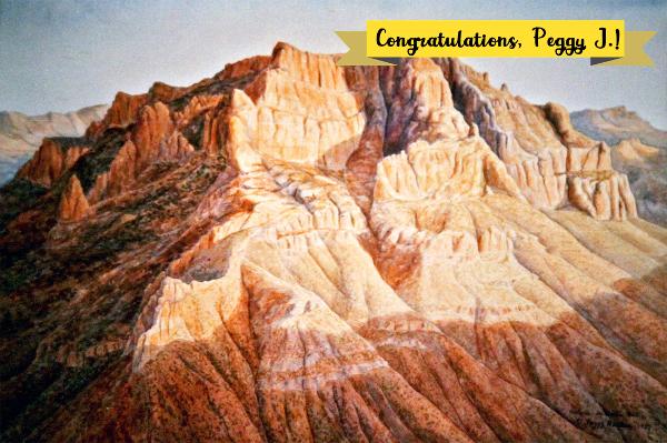 Arizona Painting Contest Winner