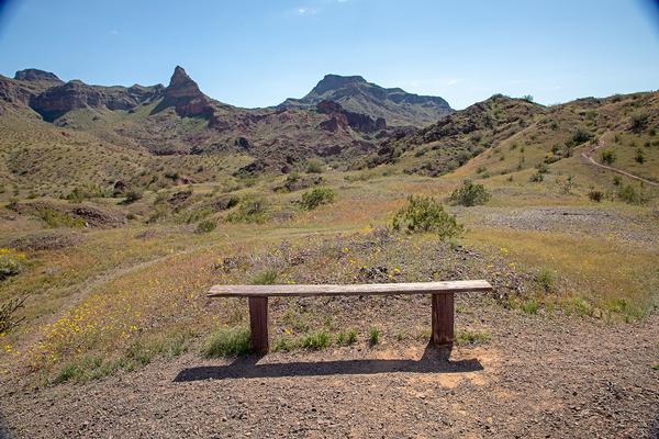 A bench overlooking some of the River Island State Park trails