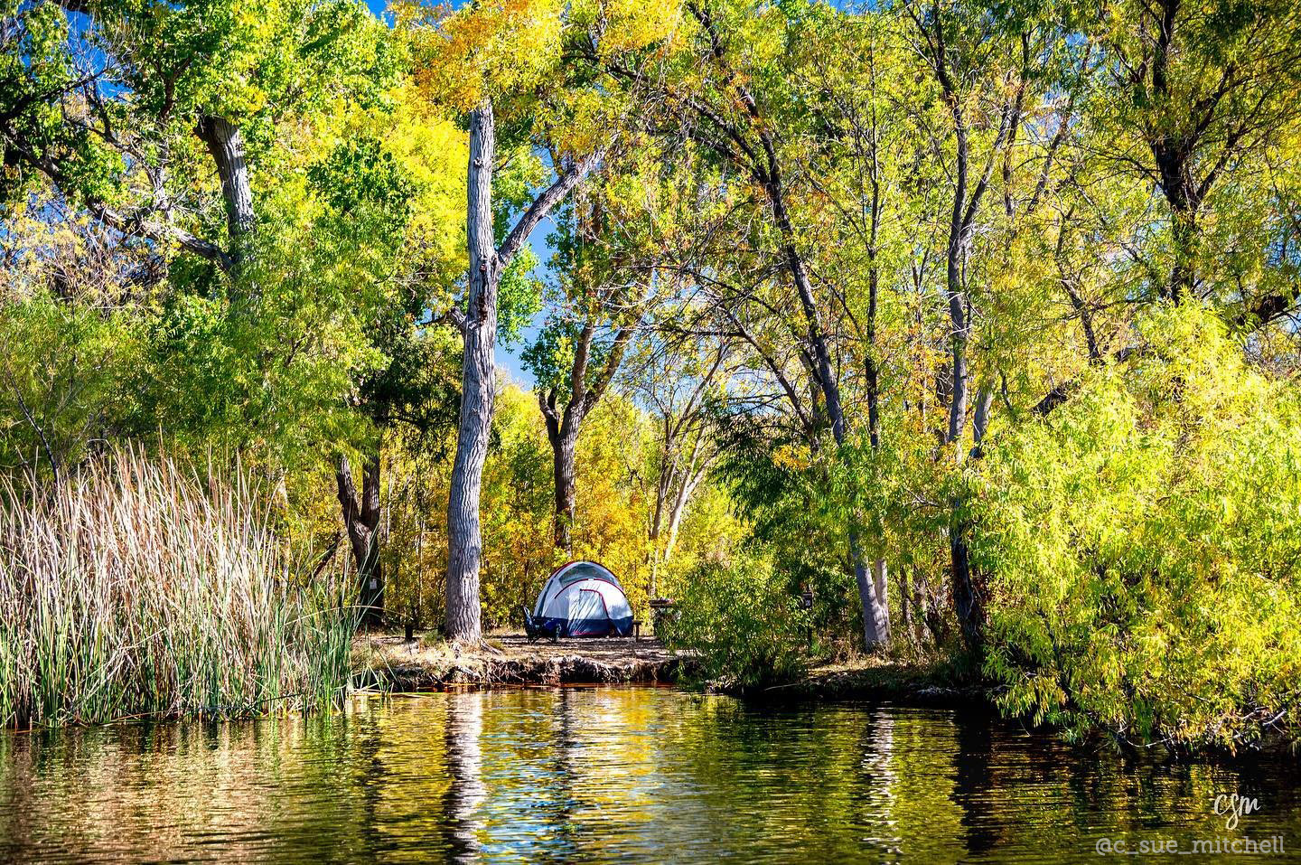 Get the most out of your adventure by tent, RV, or cabin camping at Patagonia Lake!