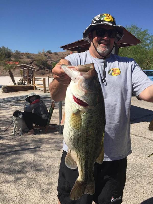 Trophy Lake Havasu Largemouth Bass