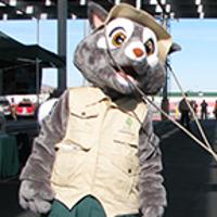 Rocky Ringtail