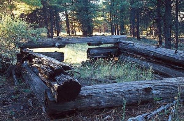 Overland road trail in Arizona