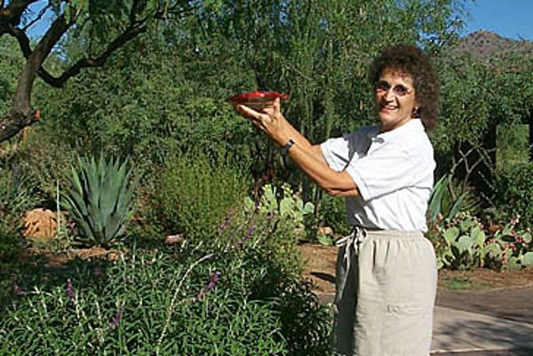 Kartchner Volunteer hummingbird garden
