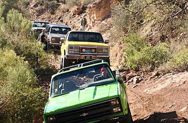 Backcountry Survival