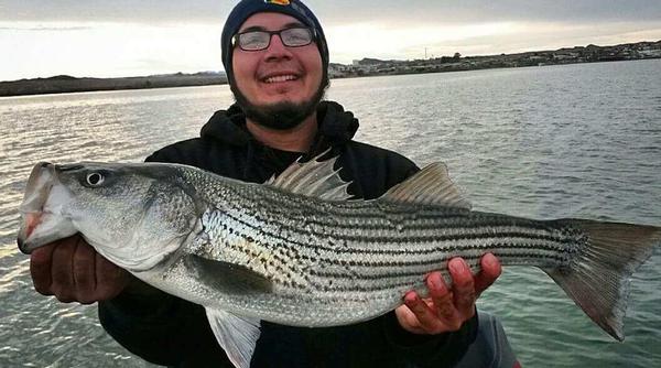 Big Lake Havasu striper caught in a kayak.