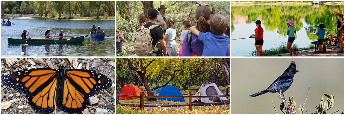 Arizona family campout activities