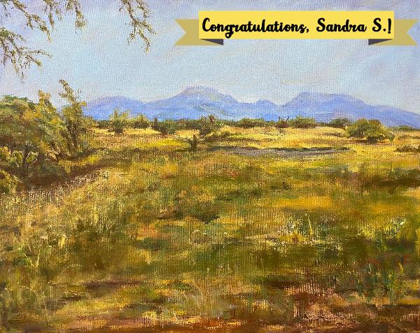 Arizona Painting Contest Winner