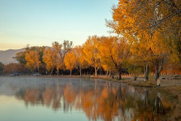 Dead Horse Ranch fall colors