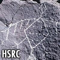 HSCR graphic