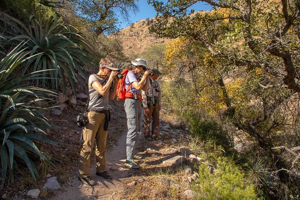 Birding on the Foothills Loop Trail