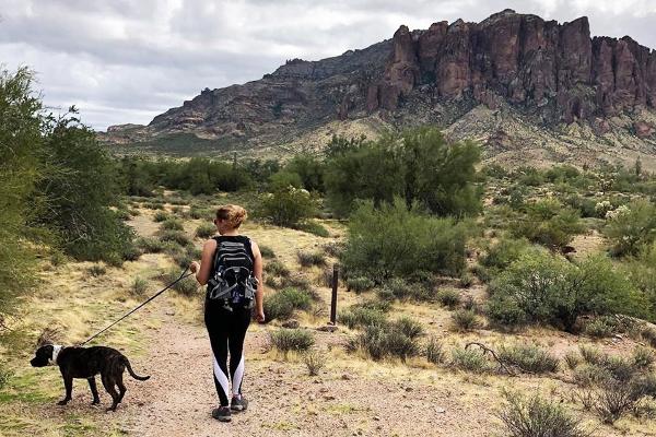 A hiking trail at Lost Dutchman State Park