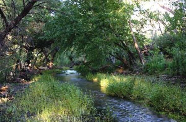 Natural Areas Program Advisory Committee- NAPAC