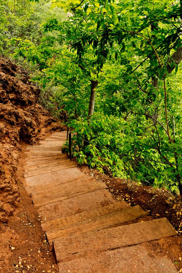 A beautiful set of stairs on the Waterfall Trail lead down to the creek at the park.
