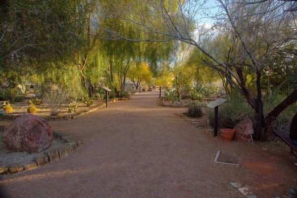 The Arroyo-Camino Interpretive Garden path