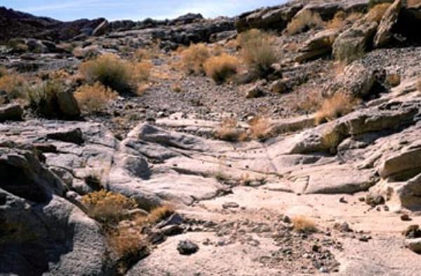 Wagon Ruts at Lee’s Backbone. Historic Trails of Arizona - Mormon Honeymoon Trail