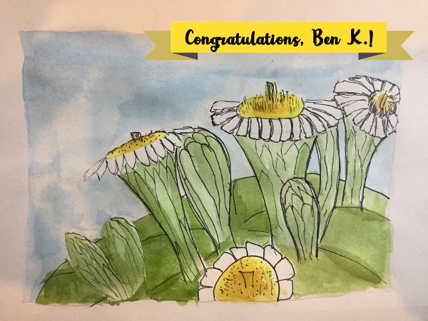 Arizona Painting Contest Winner