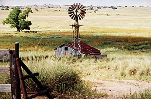 A photo of a windmill on the property in 1998
